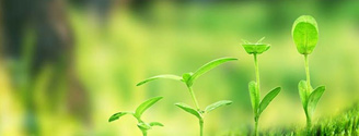 【西施生態(tài)】生態(tài)修復(fù)案例，和我們一起行動起來吧