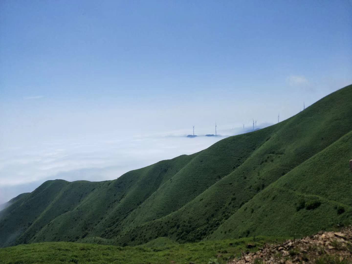 臨武三十六灣風電場邊坡綠化、生態(tài)恢復項目
