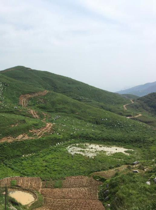 湖南省冷水江市錫礦山地區(qū)生態(tài)修復(fù)項目